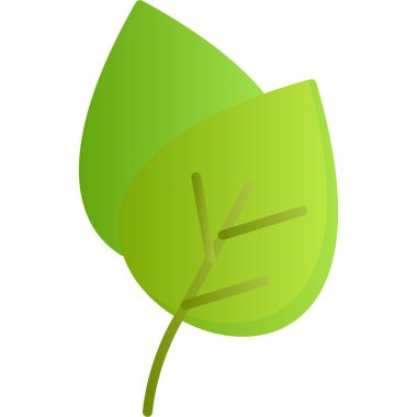 Yeşil ağaç yaprağının vektör çizimi