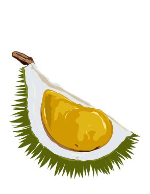 Durian olarak da bilinen tropikal meyvelerin kralının resmi. Durian 'ın altın sarısı posası. Malezya, Endonezya ve Tayland 'da popüler meyveler.