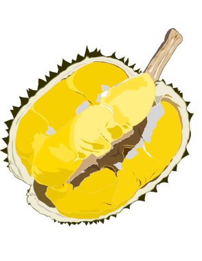 Durian olarak da bilinen tropikal meyvelerin kralının resmi. Durian 'ın altın sarısı posası. Malezya, Endonezya ve Tayland 'da popüler meyveler.
