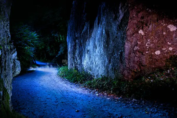 Kayaların arasındaki yol, gece manzarası. Orman yaban hayatı, gece manzarasında. Ay ışığında peri masalı gece manzarası. Arka planda bir dağ olan güzel bir manzara. Yatay kart.