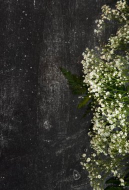 Negatif alan, arka planda çiçek, yakın plan