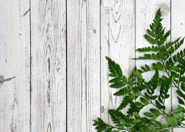 Negatif alan, yeşiller ve çiçek ahşap, parlak arkaplan 