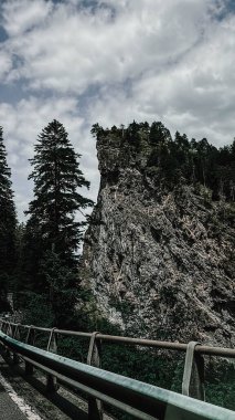 Dağlardaki köprü. Yüksek kalite fotoğraf