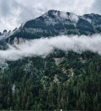 Dağlar bulutlarla kaplı. Yüksek kalite fotoğraf