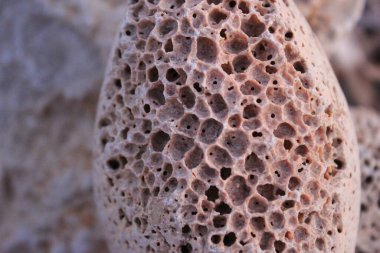 Deniz taşı dokusunun makro fotoğrafçılığı