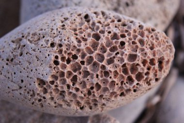 Deniz taşı dokusunun makro fotoğrafçılığı