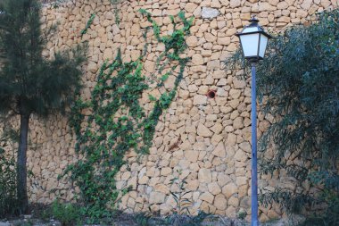 Uzun ve yalnız sokak lambaları