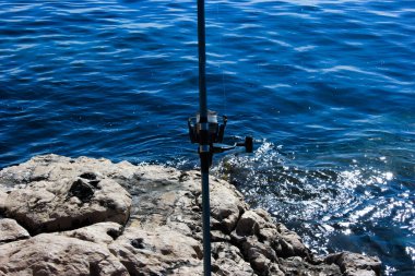 Amatör oltayla balık avı