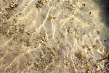 Temiz suda küçük yosunlu kumlu bir taban manzarası