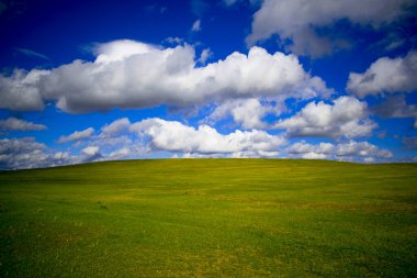 Doğa sahnesinin resimsel görüntüsü