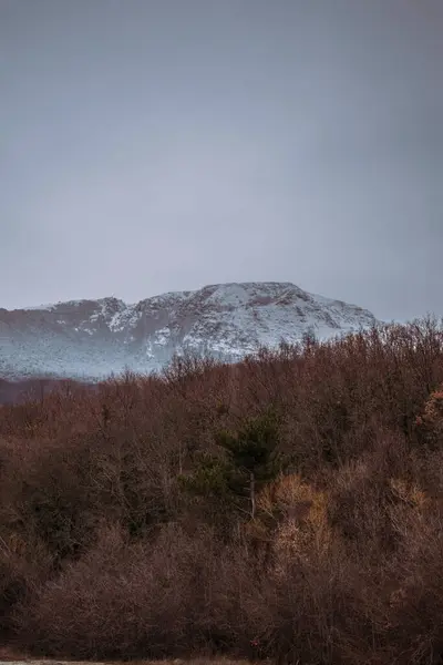 Alman Muensterland 'inde kış
