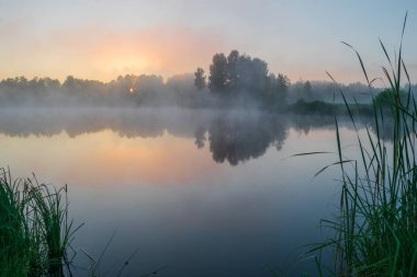 Gölde sabah sisi