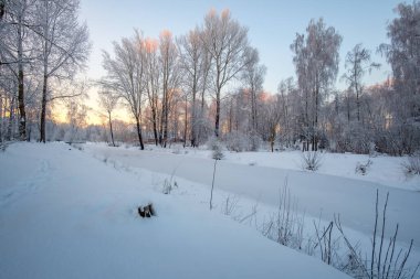 Karlı kış manzarası