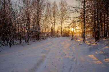Kar ve ağaçlarla kaplı kış manzarası.