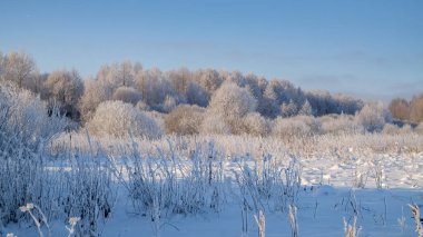 Kış manzarası. Kar - ağaçlar ve orman.