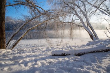 Karda ağaçlar olan kış manzarası