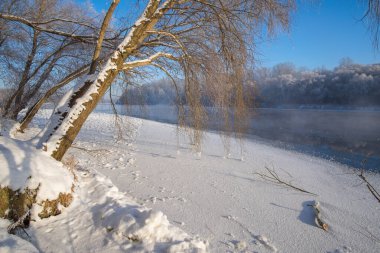 Kış karlı donmuş nehir - ağaçla kaplı