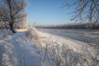 Nizhny Novgorod şehrindeki Dnipro nehrinin kıyısında, Ocak ayında güneşli bir gün.