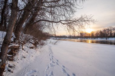 Donmuş kış nehri. Buzun kıyısında donmuş bir nehir var..
