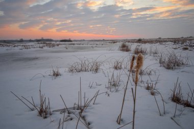 Karlı ve ağaçlı donmuş göl