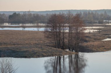 Ağaçlı bahar nehri. Baharın başı. İlk bahar.