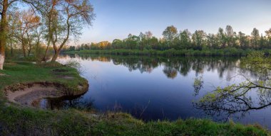Güneşli bir yaz akşamında ormanlık bir nehir.