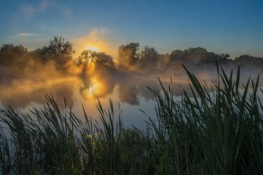 Sabah güneşi, sabah sisinin üzerine vurur.