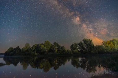 Ormanda yıldızlar ve ağaçlarla dolu gece gökyüzü.