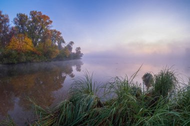 Ağaçlı güzel sonbahar manzarası