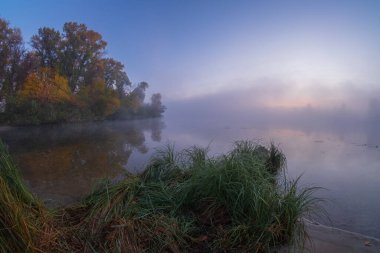 Ormanda nehri olan güzel bir manzara.