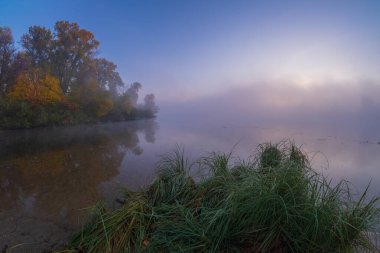 Gölde sisli bir sabah
