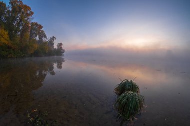 Sonbahar gölünde sabah sisi