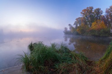 Sonbahar ormanındaki nehirde sabah sisi