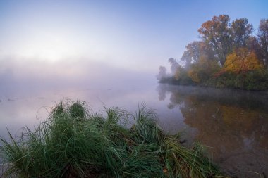 Sonbaharda nehrin üzerinde sabah sisi
