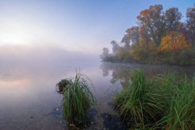 Gölü olan sonbahar manzarası
