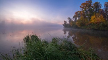 Sonbahar manzarası. Sabahları renkli ağaçlar