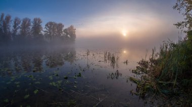 Ağaçlı, sisli ve göllü güzel sonbahar manzarası
