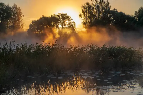 Gölde güzel bir gün batımı