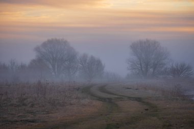 Kırsal kesimde puslu sabah.