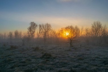 Kış sabahında gün doğumu