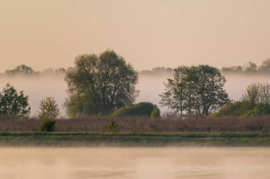 Sonbaharda nehir kıyısında gün doğumu