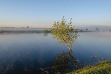 sabah sis göl üzerinde.