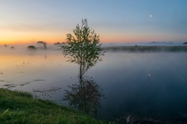Nehirde sabah sisi kırsalda.