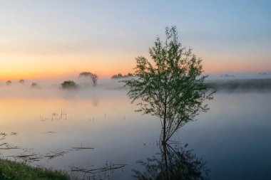 Güneşin doğuşu sisli nehirde.