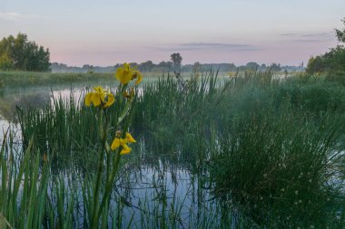 Göllü güzel bir manzara.