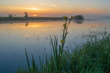Bir kamışla gölün üzerinde gün doğumu