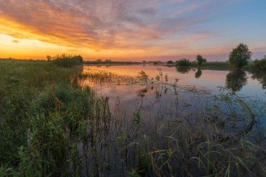 Nehirde günbatımı, renkli çimenler, yazın ağaçlar, güzel manzaralar.