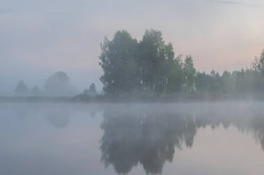 Sabah sisi, sisli bir gölde yaz sabahı ormanda.