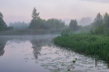 Yaz gölünde güzel bir sabah manzarası