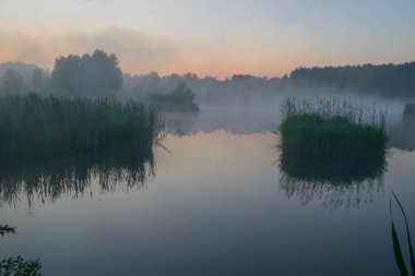 Siste bir gölde sabah sisi.